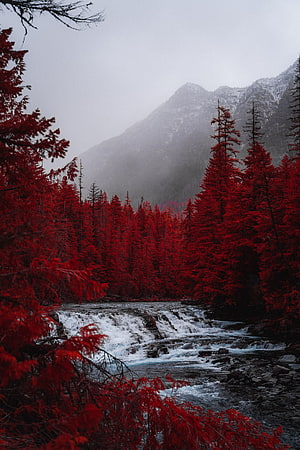 Infrared Photography of a Mountain River with Red Forest and Misty Peaks HD phone wallpaper