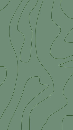 Sage Green Abstract Topographic Contour Line Minimalist Pattern HD phone wallpaper