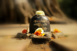 Sacred Shivling Stone Adorned With Marigold Flowers And Traditional Offerings HD wallpaper
