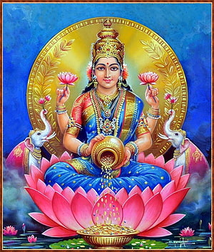 Goddess Lakshmi Sitting on Lotus with Elephants Pouring Gold Coins HD phone wallpaper