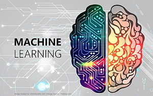 Machine Learning Concept: Circuit Board and Organic Brain Half Split Design HD wallpaper