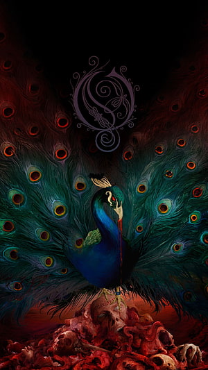 Opeth Dark Fantasy Peacock Perched on Skulls with Ornate Logo HD phone wallpaper