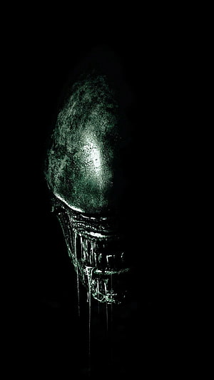 Alien Xenomorph Head in Dark Green Tint with Dripping Fluids on Black Background HD phone wallpaper