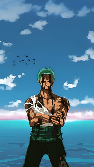 Roronoa Zoro Standing on a Ship Deck Under a Blue Sky with Birds HD phone wallpaper