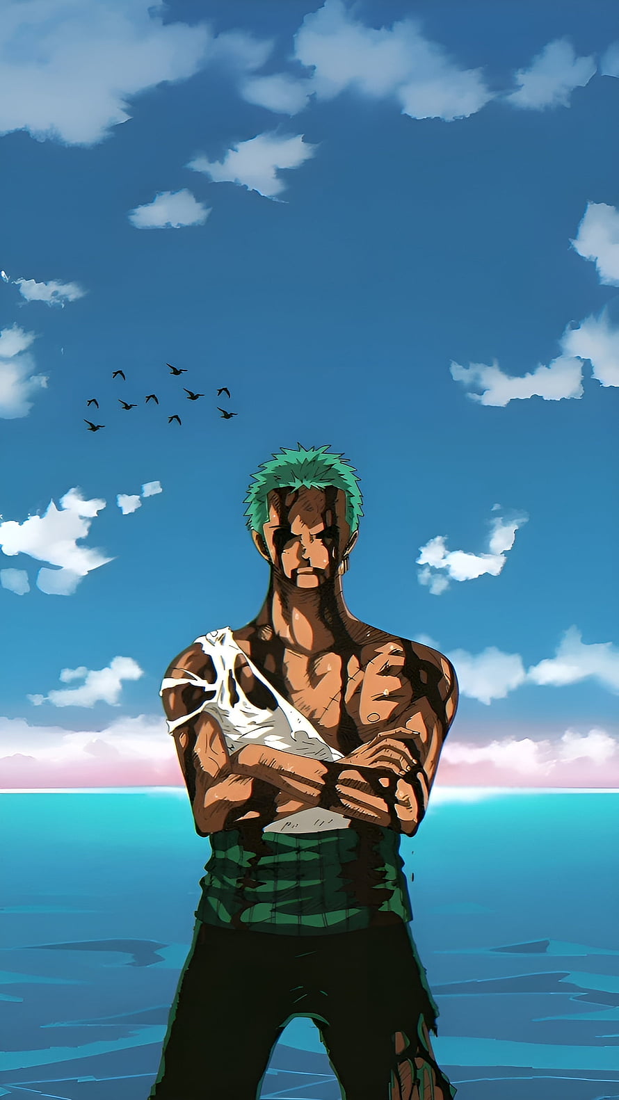 Roronoa Zoro Standing on a Ship Deck Under a Blue Sky with Birds HD phone wallpaper