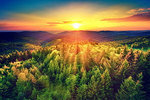 Sunset Over Lush Green Forest Hills With Golden Sunlight Rays HD wallpaper