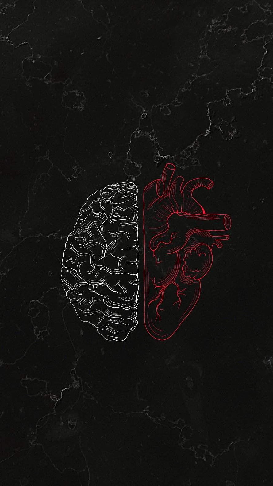 Minimalist Brain and Heart Line Art on Dark Marble Background HD phone wallpaper