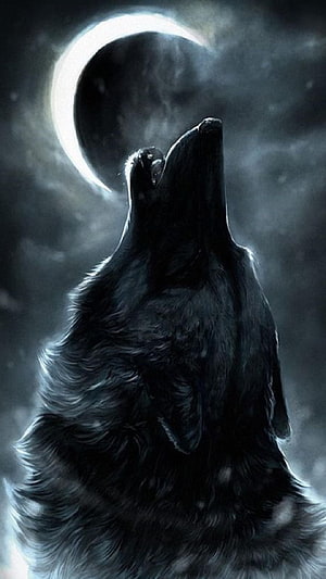 Dark Wolf Howling At The Crescent Moon Under A Starry Night Sky HD phone wallpaper