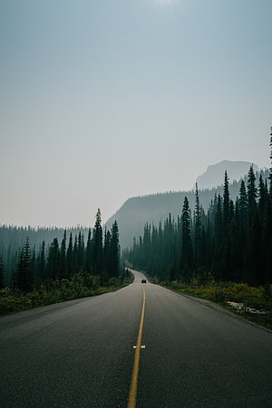 Solitary car driving down a winding mountain road through a dense pine forest with misty peaks in the distance HD phone wallpaper