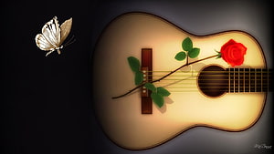 Acoustic Guitar with Red Rose and Butterfly Still Life Digital Art HD wallpaper