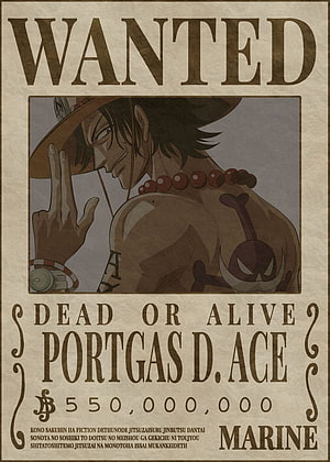 Portgas D. Ace Wanted Poster One Piece Anime Character Art HD phone wallpaper