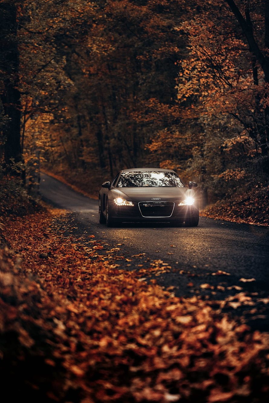 Audi TT driving on a winding forest road covered in autumn leaves with headlights on HD phone wallpaper