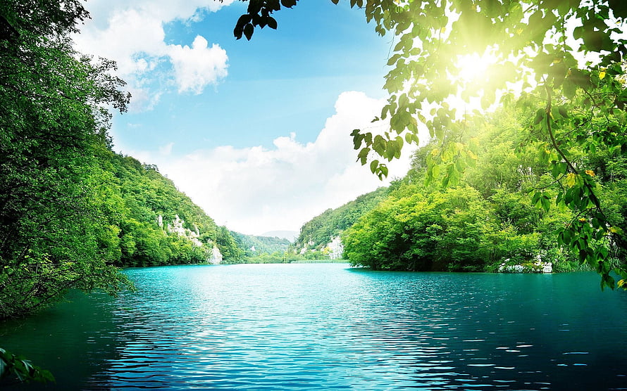 Serene Turquoise River Flanked by Lush Green Forests Under a Bright Blue Sky HD wallpaper