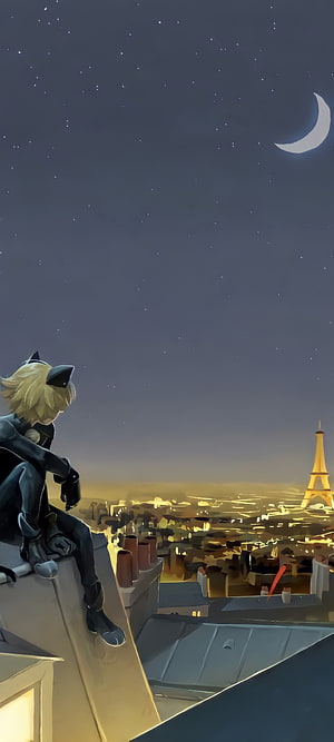 Cat Noir from Miraculous Ladybug Sitting on a Paris Rooftop Under a Starry Night Sky HD phone wallpaper