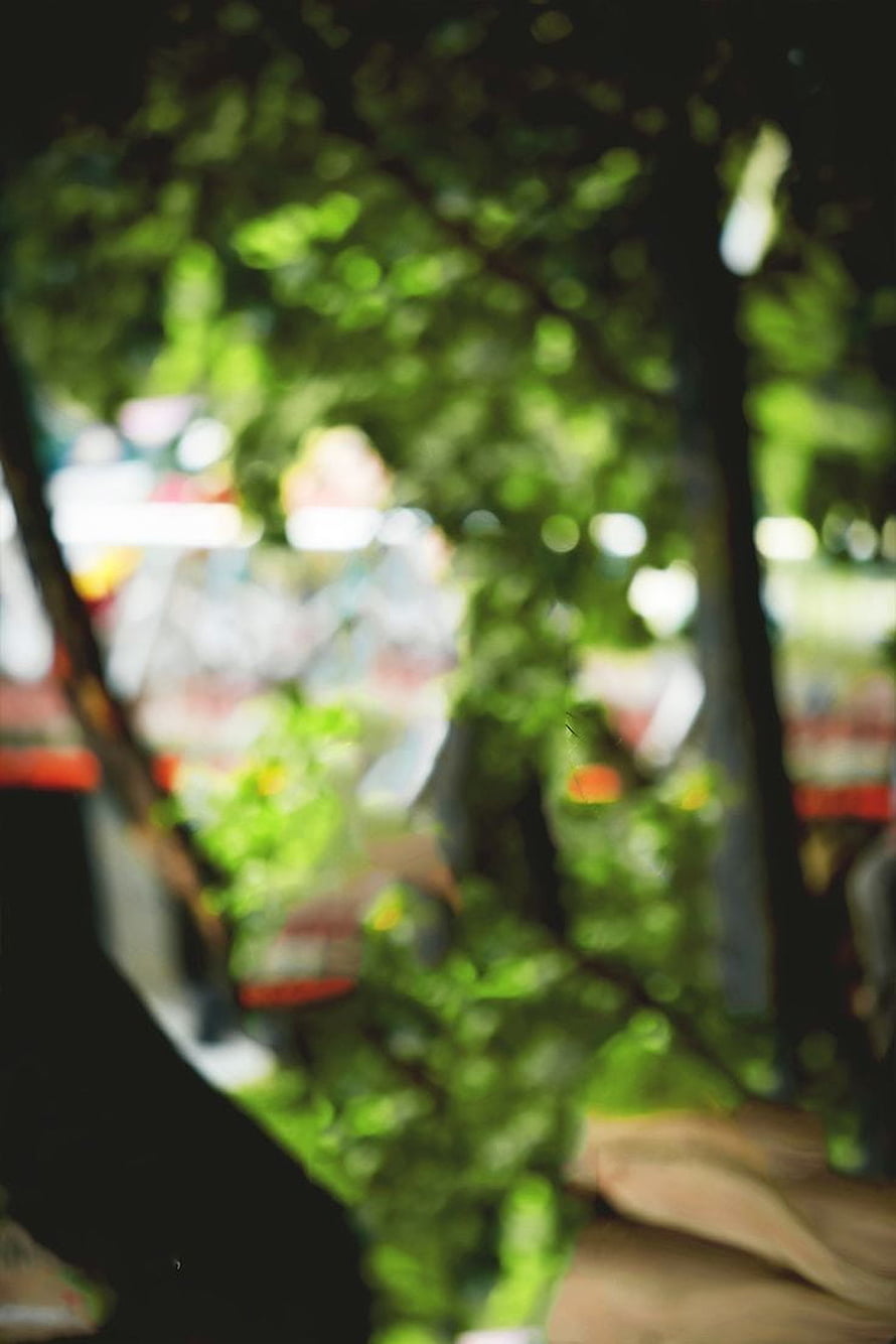 Soft Focus Green Foliage and Bokeh Light for Photo Editing Backgrounds HD phone wallpaper