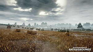 PUBG PlayerUnknown's Battlegrounds Wheat Field Landscape with Hay Bales and Overcast Sky HD wallpaper