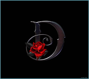 Ornamental Letter D with Red Rose and Metallic Scrollwork on Black Background HD wallpaper