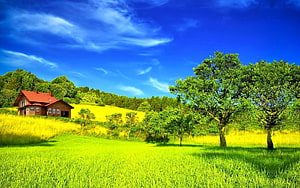 Rustic Red Roof Cottage in Vibrant Green Meadow with Lush Trees Under Blue Sky HD wallpaper