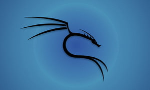 Kali Linux Dragon Logo on Blue Gradient Background HD wallpaper