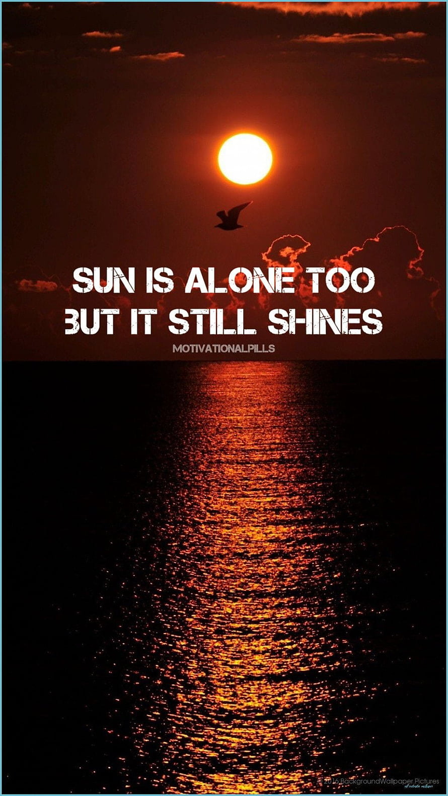 Sunset Over Ocean With Bird Silhouette And Motivational Quote About Shining Alone HD phone wallpaper