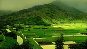 Lush Green Rice Terraces and Mountain Valley Landscape HD wallpaper