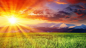 Vibrant Sunrise Over Snow-Capped Mountains and Lush Green Grass Field HD wallpaper
