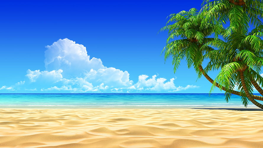Tropical Beach Scene With Palm Trees And Turquoise Ocean Water HD wallpaper