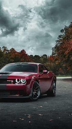 Red Dodge Challenger SRT Hellcat with Black Racing Stripes Under Dramatic Autumn Sky HD phone wallpaper