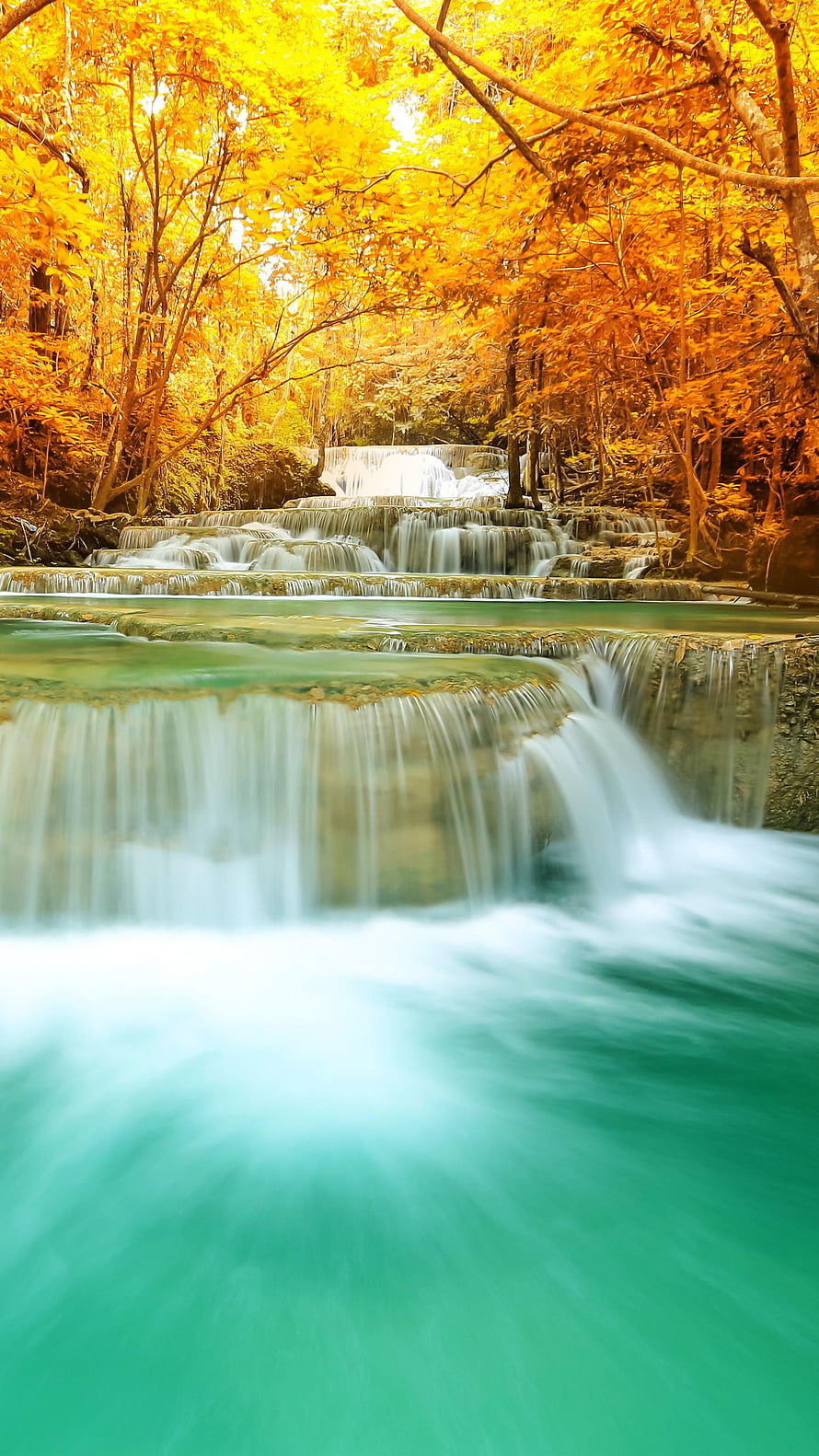 Turquoise Tiered Waterfall Cascading Through Vibrant Golden Autumn Forest HD phone wallpaper