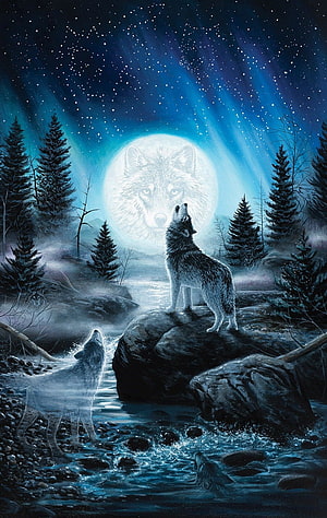 Two wolves howling at a full moon in a starlit winter forest with a flowing stream HD phone wallpaper