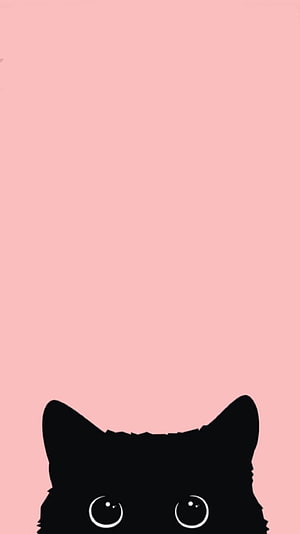 Cute Black Cat Silhouette Peeking Up on Soft Pink Background HD phone wallpaper
