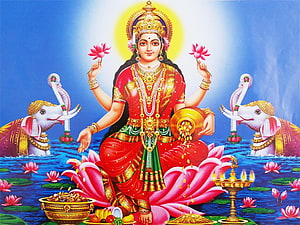Goddess Lakshmi Sitting on Lotus with Elephants Pouring Water and Gold Coins HD wallpaper