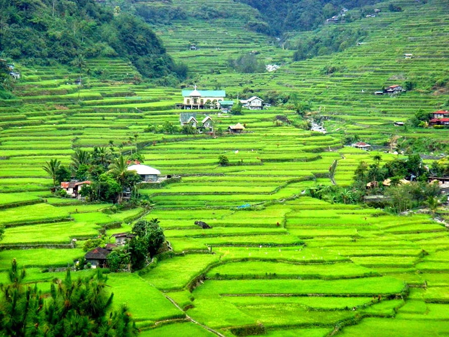 Vibrant Green Rice Terraces and Village Houses in a Lush Mountain Valley HD wallpaper