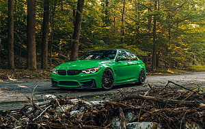 Vivid Green BMW M3 F80 Sedan Parked on a Forest Road with Autumn Foliage HD wallpaper