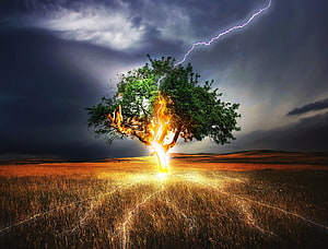 Dramatic Lightning Strike Igniting a Solitary Tree in a Golden Grassland Under a Dark Storm Sky HD wallpaper