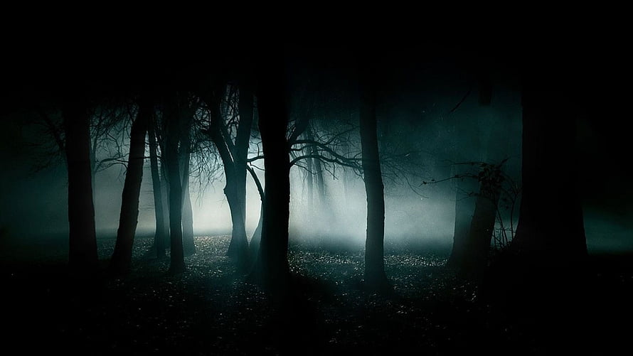 Eerie Misty Forest at Night with Dark Silhouetted Trees and Foggy Atmosphere HD wallpaper