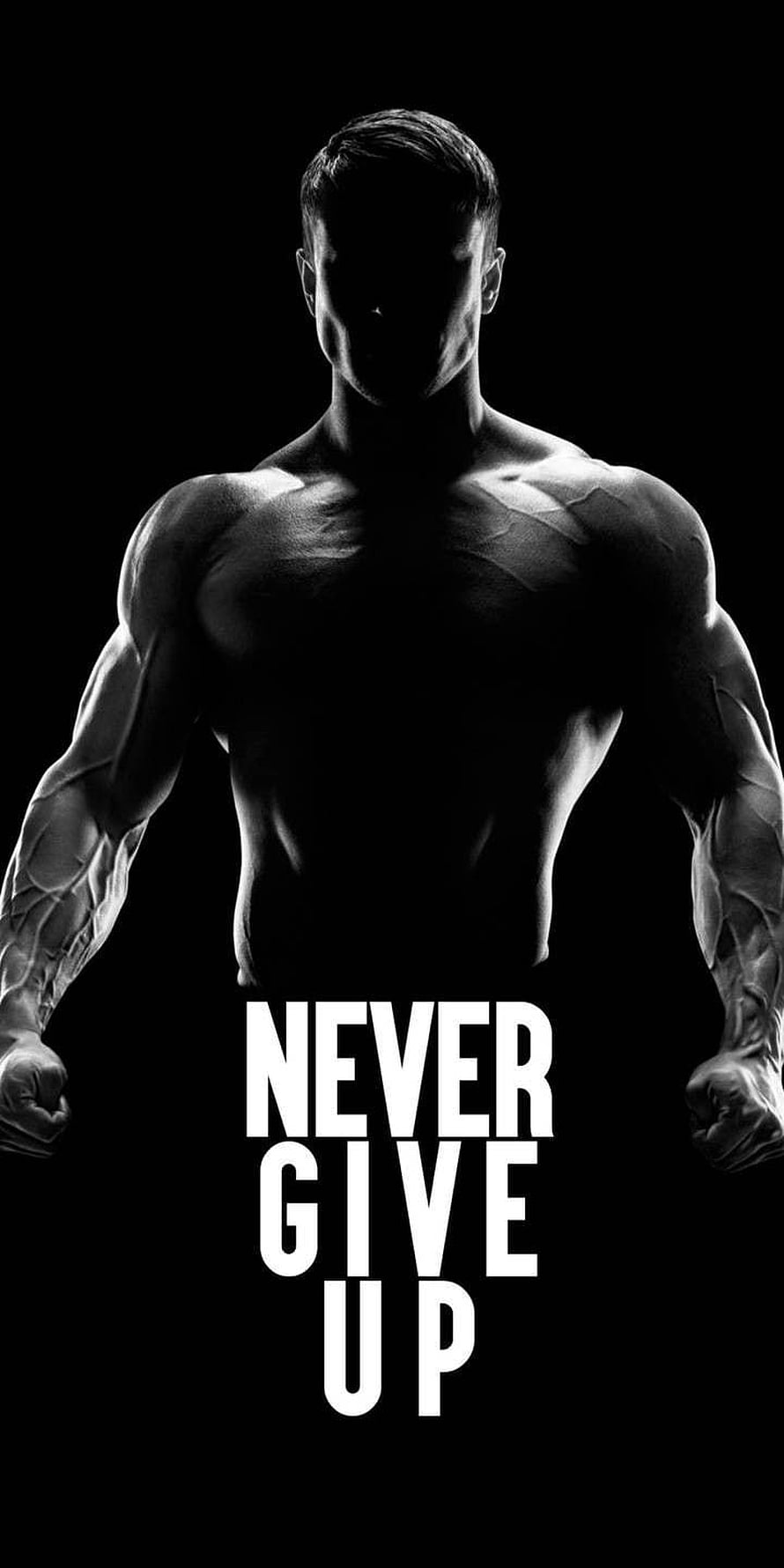 Motivational Black And White Muscular Man Silhouette With Never Give Up Text, fitness motivation quotes for men gym, Funny Gym HD phone wallpaper