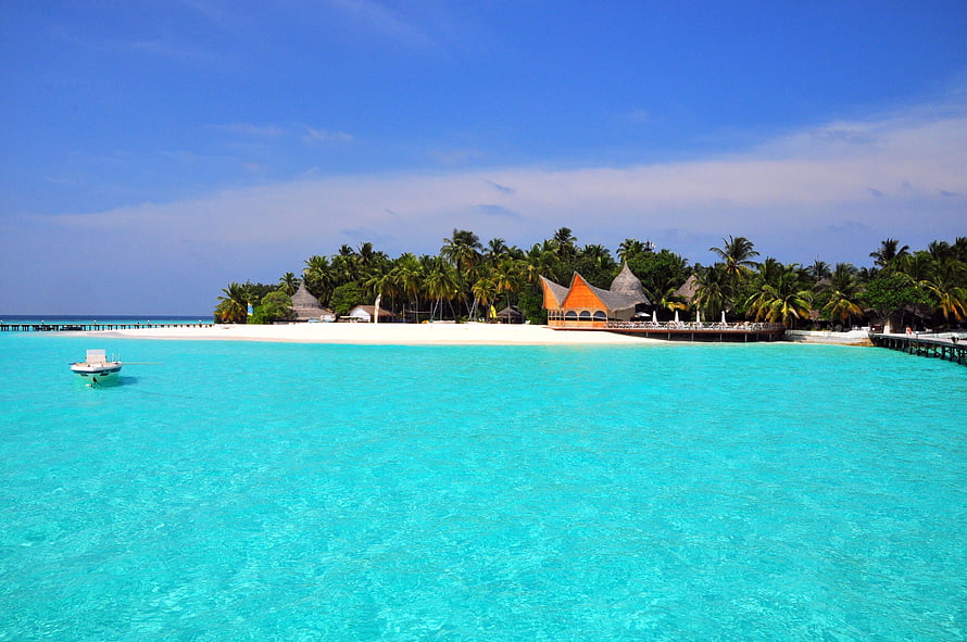 Tropical Paradise Beach with Turquoise Lagoon and Palm Trees HD wallpaper