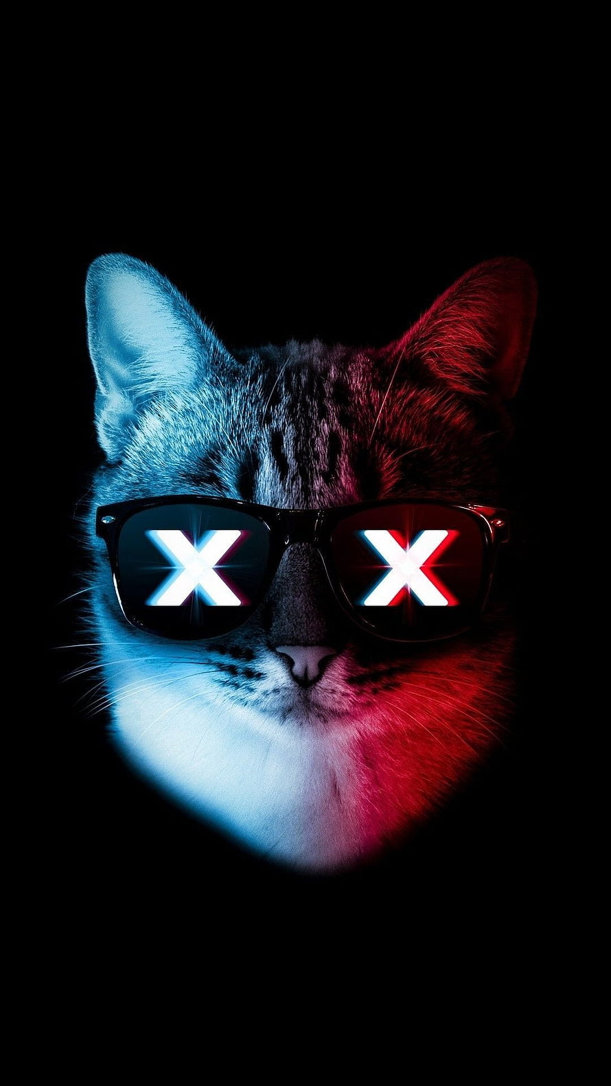 Cool Tabby Cat Wearing Sunglasses With Glowing X Reflections in Neon Blue and Red Light HD phone wallpaper