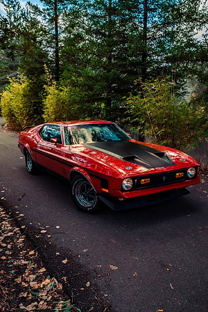 Red Ford Mustang Boss 302 Classic Muscle Car Parked on Forest Road HD phone wallpaper