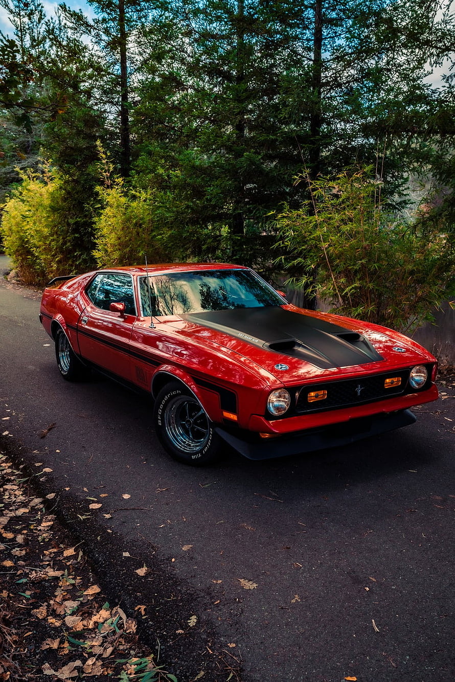 Red Ford Mustang Boss 302 Classic Muscle Car Parked on Forest Road HD phone wallpaper