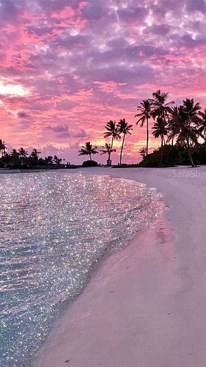 Magical Pink Sunset Beach With Sparkling Glitter Water And Palm Trees HD phone wallpaper