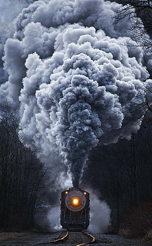 Vintage Steam Locomotive Billowing Smoke Through a Dark Forest HD phone wallpaper
