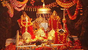 Ornate Hindu Temple Altar with Golden Statues and Red Garlands HD wallpaper