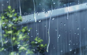 Raindrops on Glass Window with Blurred Green Foliage Background HD wallpaper