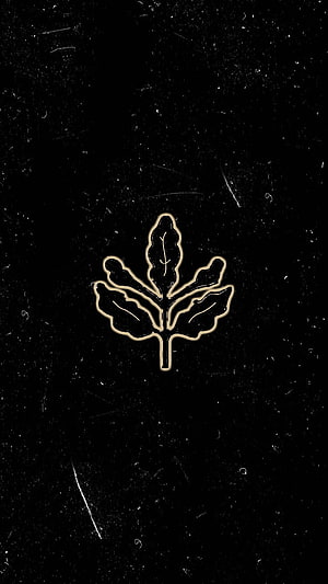 Fenerbahce Crest Emblem Minimalist Gold Outline on Black Textured Background HD phone wallpaper
