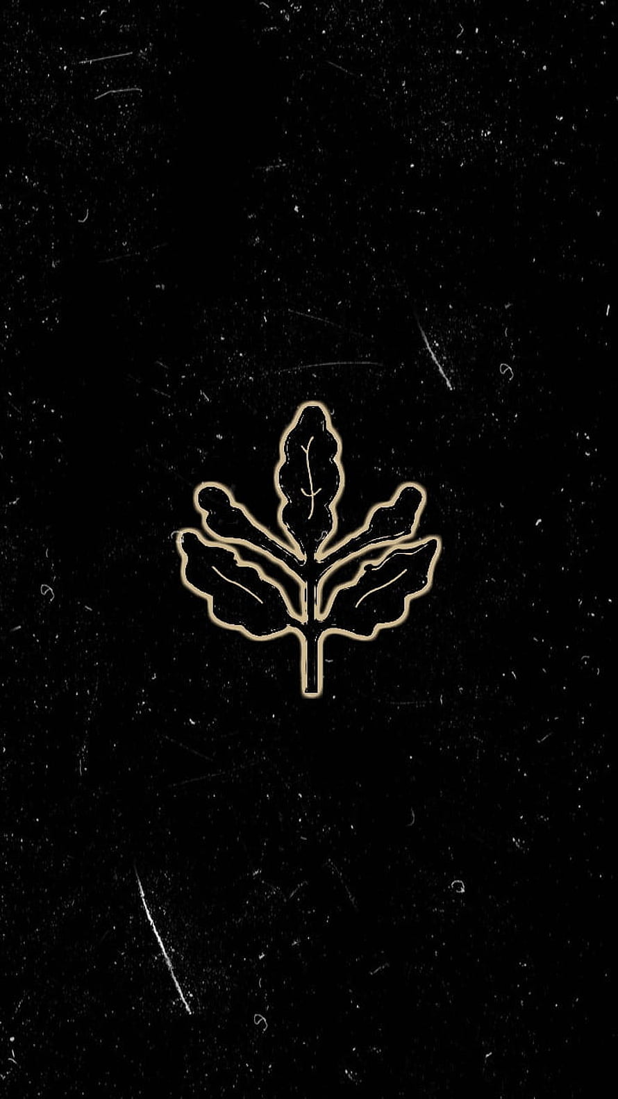 Fenerbahce Crest Emblem Minimalist Gold Outline on Black Textured Background HD phone wallpaper