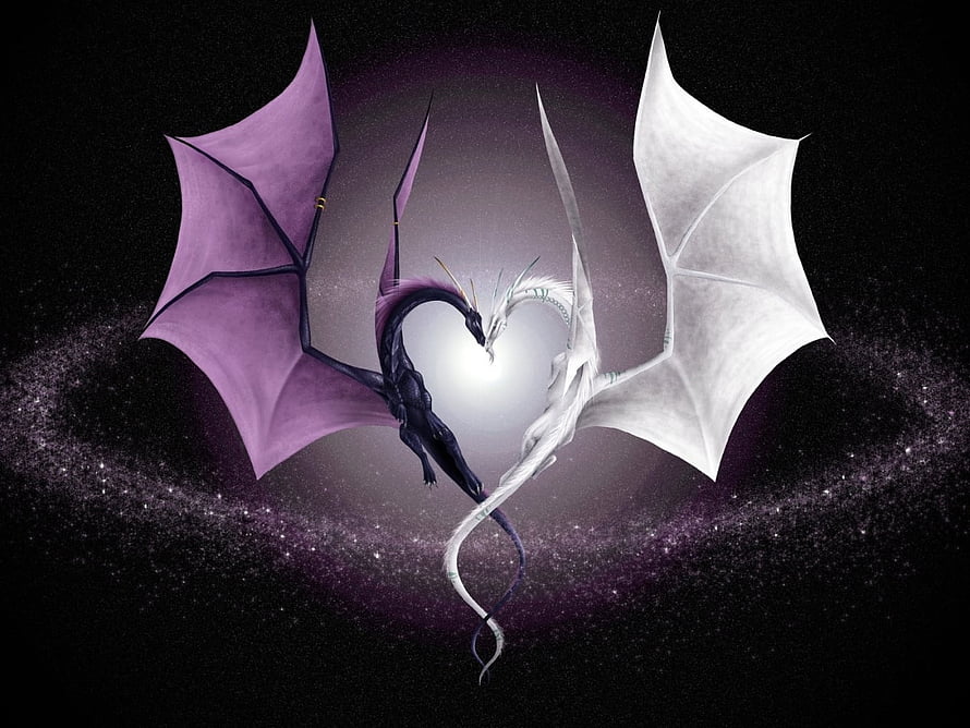 Two Dragons Forming a Heart Shape Against a Starry Night Sky HD wallpaper