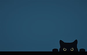 Cute Black Cat Peeking Over Edge With Glowing Yellow Eyes On Blue Background HD wallpaper