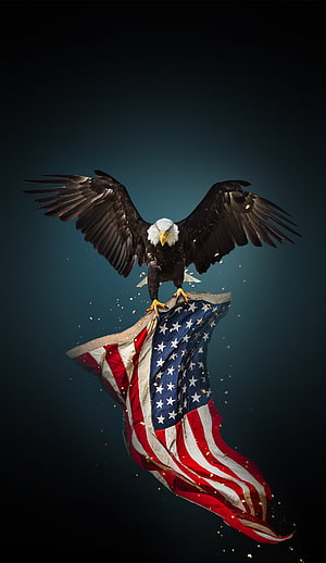 Majestic Bald Eagle Perched on Waving American Flag with Golden Sparks HD phone wallpaper